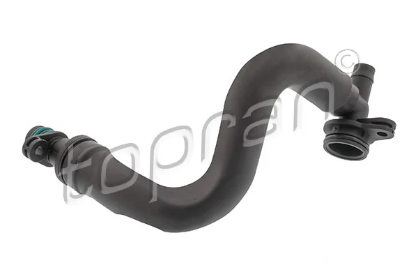 Hose, cylinder head cover ventilation