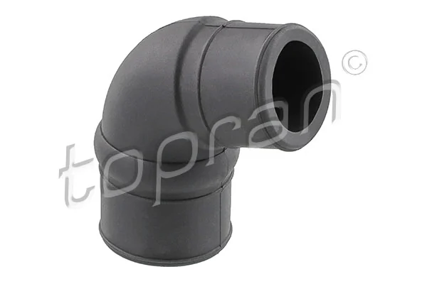 Hose, cylinder head cover ventilation