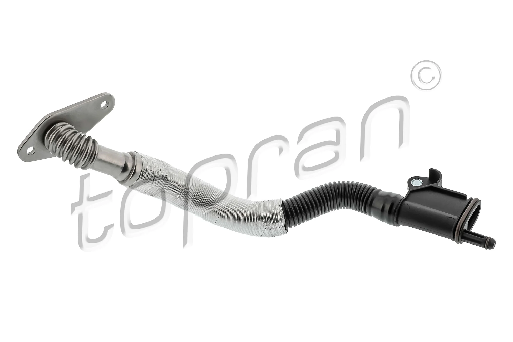 Hose, cylinder head cover ventilation
