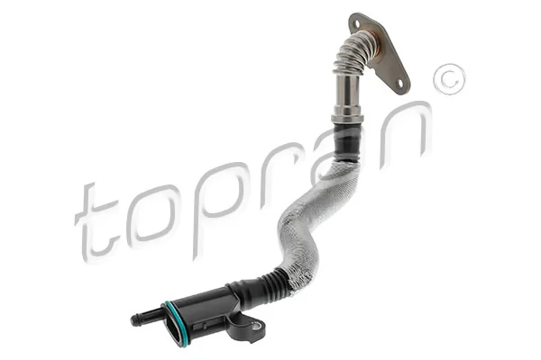Hose, cylinder head cover ventilation