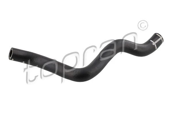 Hose, cylinder head cover ventilation