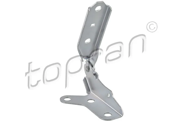 Hinge, bonnet