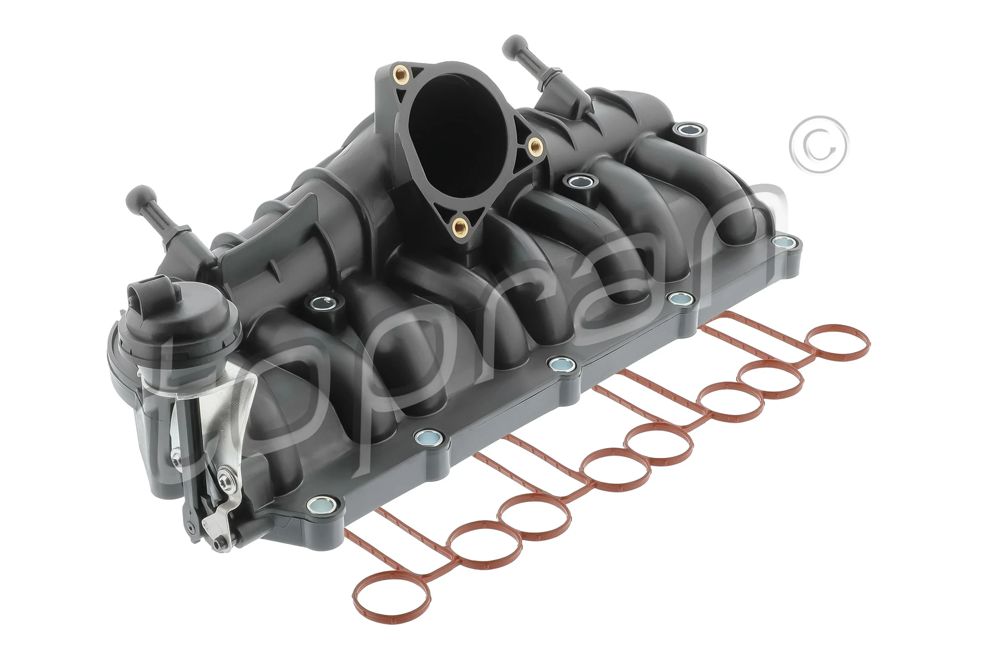 Intake Manifold Module