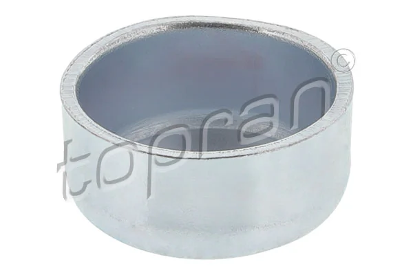 Frost Plug