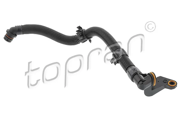Hose, cylinder head cover ventilation