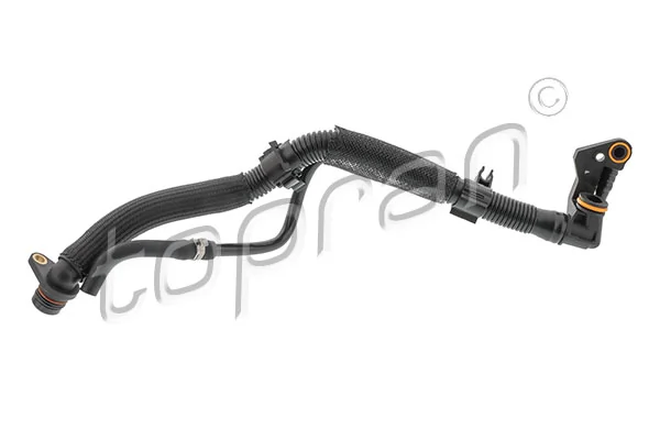 Hose, cylinder head cover ventilation