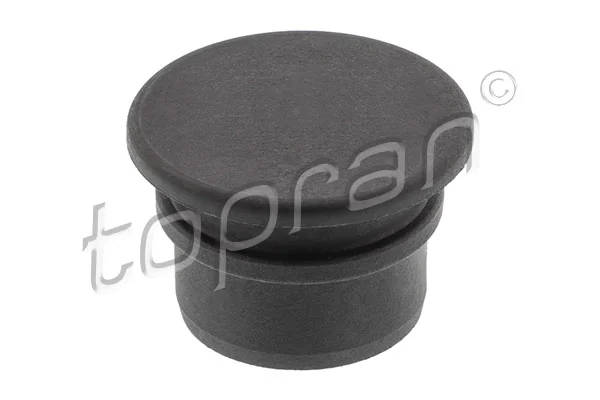 Sealing Plug, coolant flange