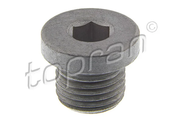 Screw Plug, oil sump