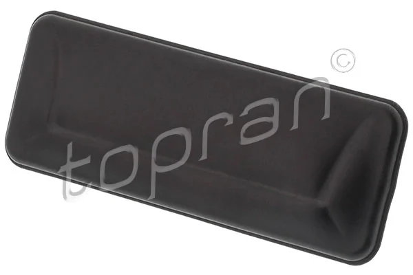 Tailgate Handle