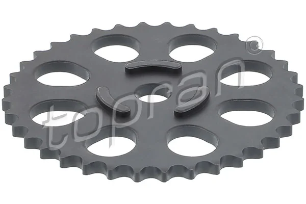 Gear/Sprocket, camshaft