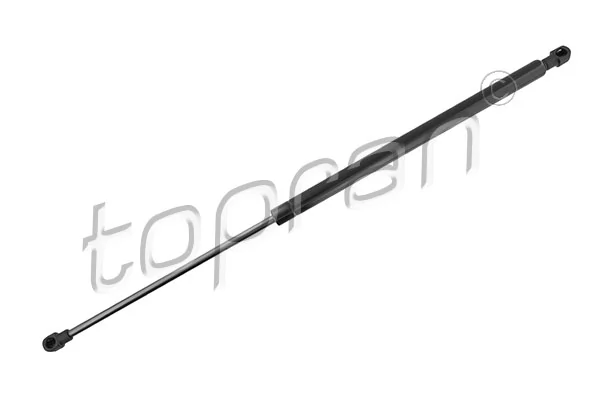 Gas Spring, boot/cargo area