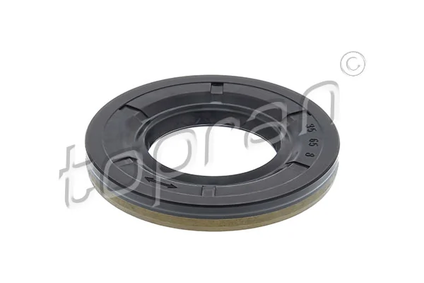 Shaft Seal, differential