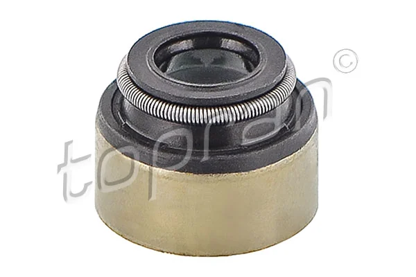 Seal Ring, valve stem