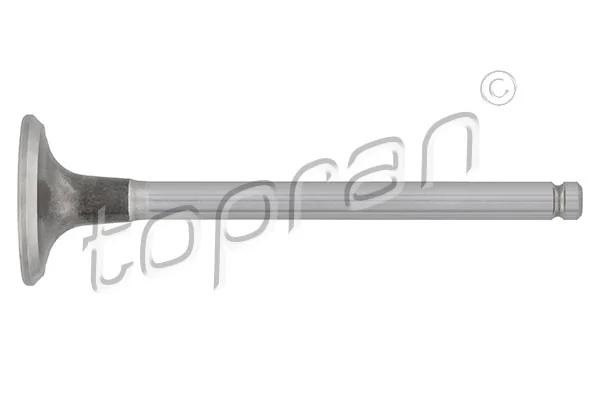 Exhaust Valve