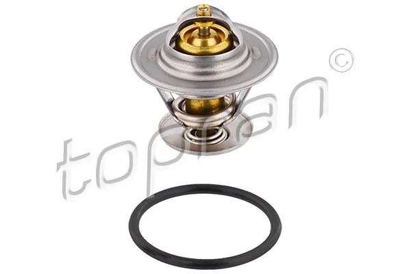 Thermostat, coolant