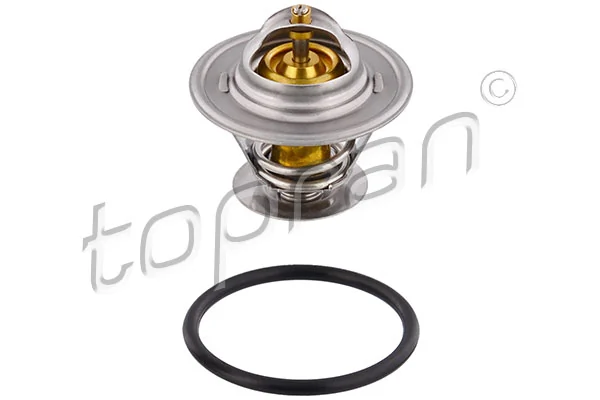 Thermostat, coolant