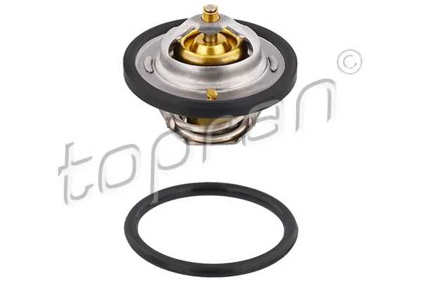 Thermostat, coolant