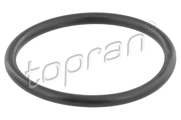 Gasket, thermostat housing
