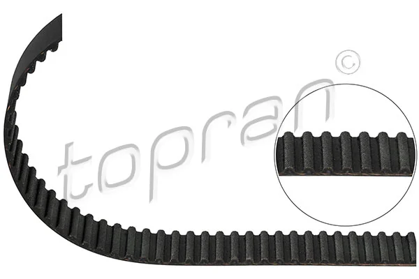 Timing Belt