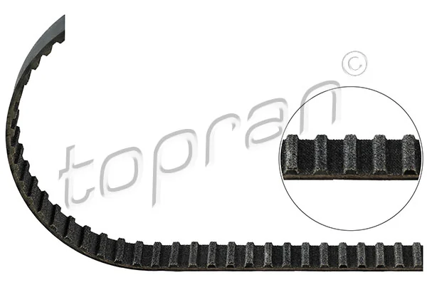 Timing Belt