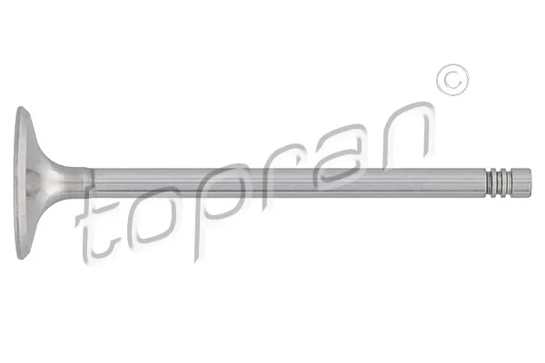 Intake Valve