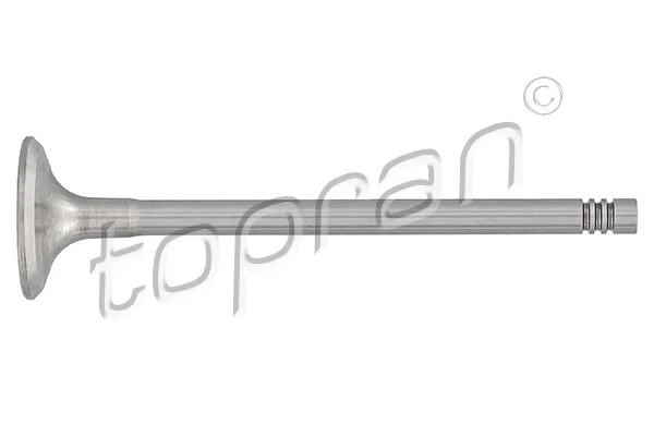 Exhaust Valve