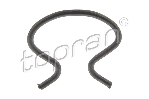 Retaining Spring