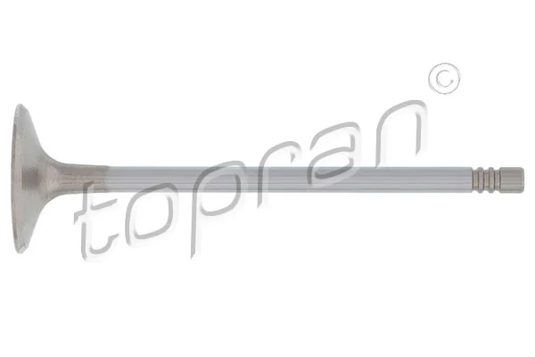 Intake Valve