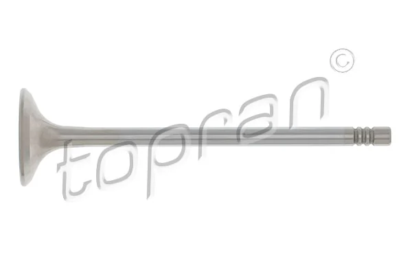 Exhaust Valve