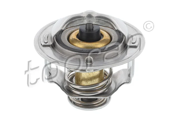 Thermostat, coolant
