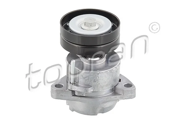 Tensioner Pulley, V-ribbed belt