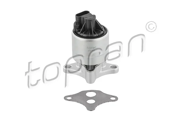 EGR Valve