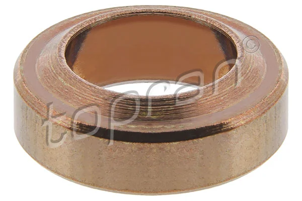 Seal Ring, injector