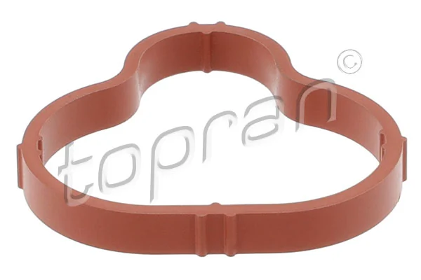 Gasket, intake manifold