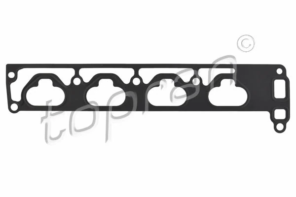 Gasket, intake manifold