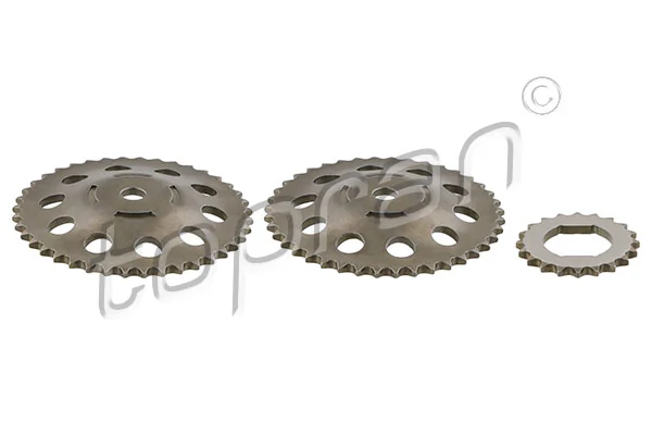 Gear/Sprocket, camshaft