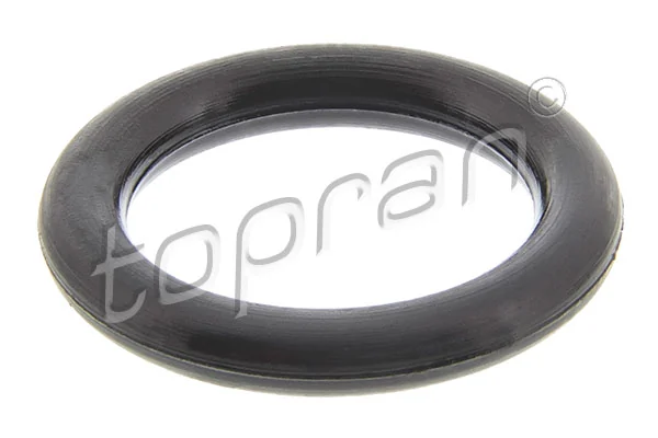 Seal Ring, cylinder head cover bolt