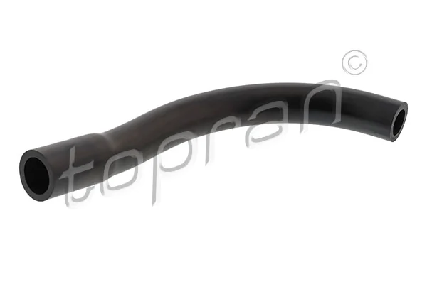 Hose, cylinder head cover ventilation
