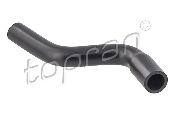 Hose, cylinder head cover ventilation