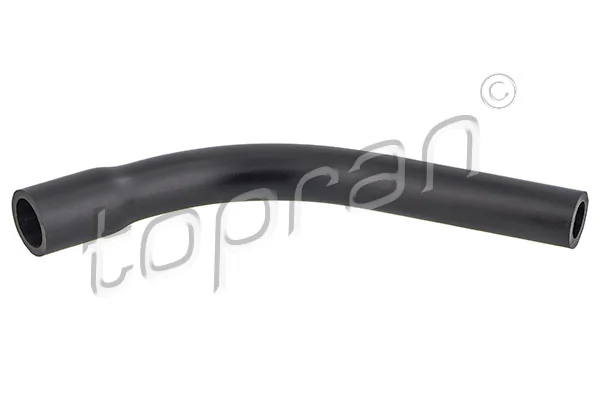 Hose, cylinder head cover ventilation