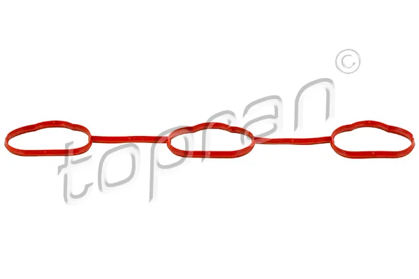 Gasket, intake manifold