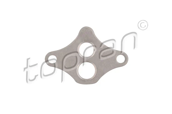Gasket, EGR valve