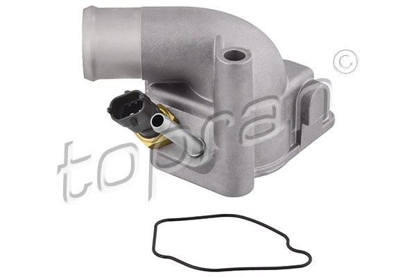 Thermostat, coolant