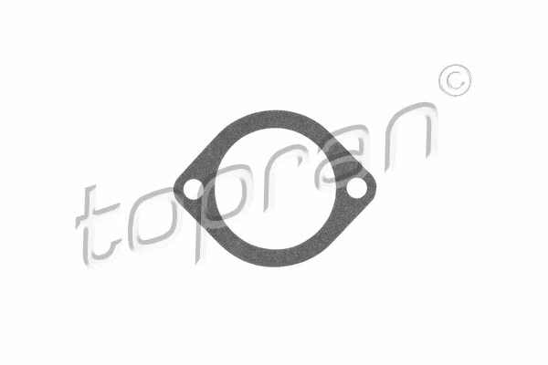 Gasket, thermostat housing