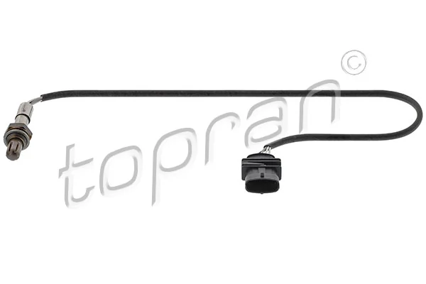 Oxygen Sensor