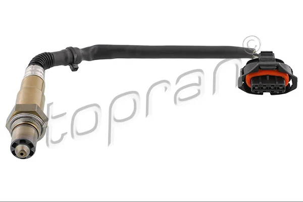 Oxygen Sensor
