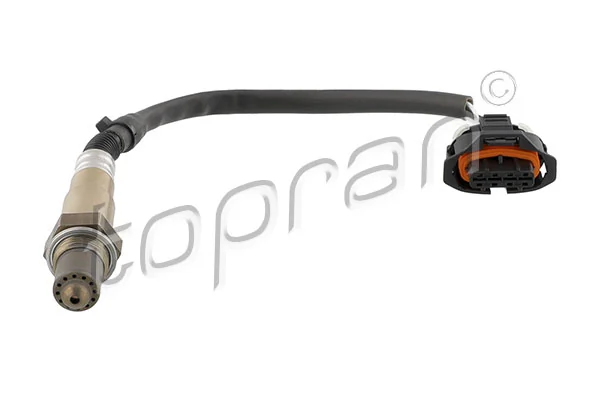 Oxygen Sensor