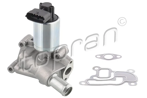 EGR Valve