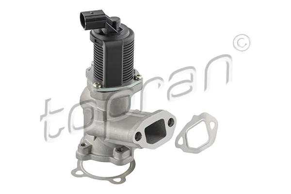 EGR Valve