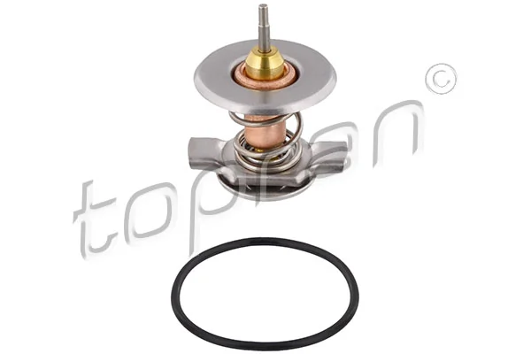 Thermostat, coolant
